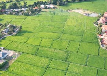 Desmembramento de terras | Saiba como Desmabrar Imóvel | Advogado Belo Horizonte