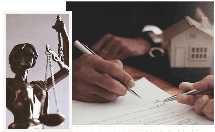 IMG1-direito-im-min-min